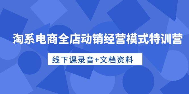 淘系电商全店动销经营模式特训营，线下课录音+文档资料网创库-网创项目资源站-副业项目-创业项目-搞钱项目网创库