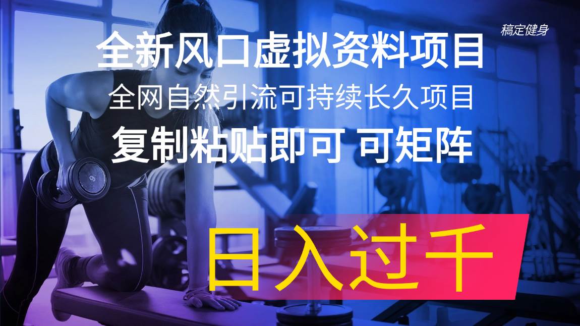 全新风口虚拟资料项目 全网自然引流可持续长久项目 复制粘贴即可可矩阵…网创库-网创项目资源站-副业项目-创业项目-搞钱项目网创库