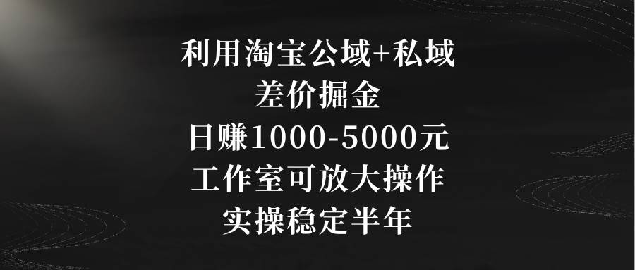 利用淘宝公域+私域差价掘金，日赚1000-5000元，工作室可放大操作，实操…网创库-网创项目资源站-副业项目-创业项目-搞钱项目网创库
