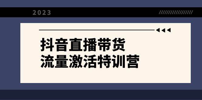 抖音直播带货-流量激活特训营，入行新手小白主播必学（21节课+资料）网创库-网创项目资源站-副业项目-创业项目-搞钱项目网创库