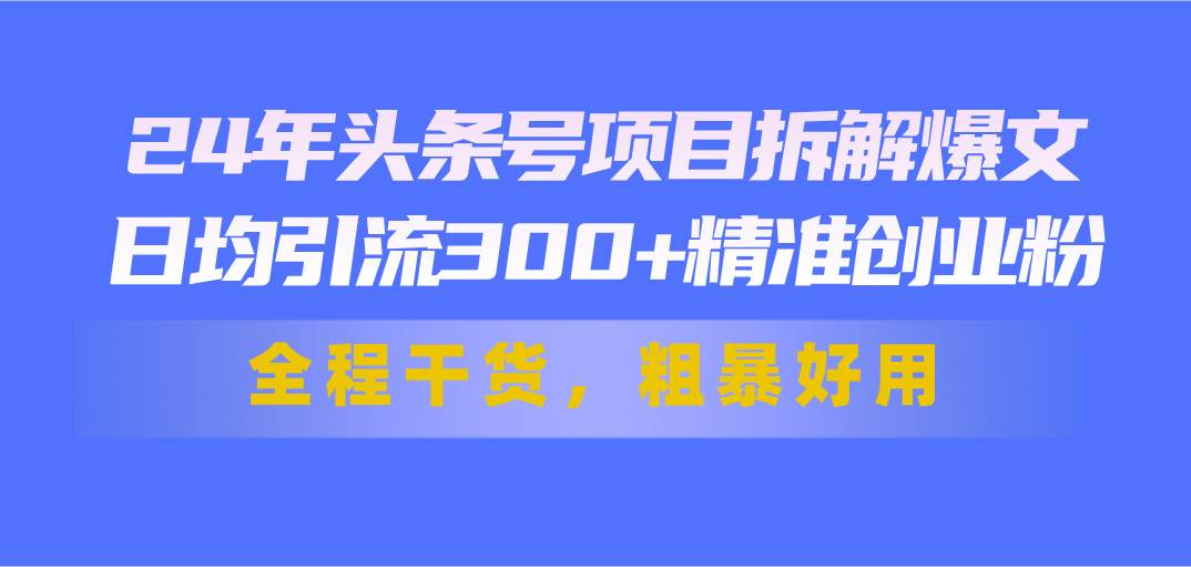24年头条号项目拆解爆文，日均引流300+精准创业粉，全程干货，粗暴好用网创库-网创项目资源站-副业项目-创业项目-搞钱项目网创库