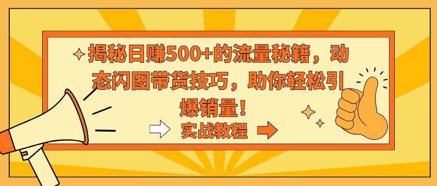 揭秘日赚500+的流量秘籍，动态闪图带货技巧，助你轻松引爆销量！网创库-网创项目资源站-副业项目-创业项目-搞钱项目网创库