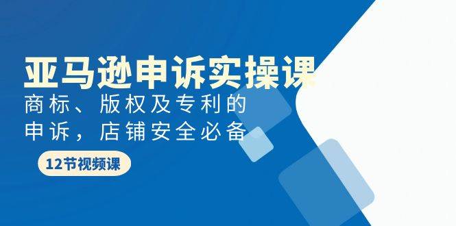 亚马逊-申诉实战课，商标、版权及专利的申诉，店铺安全必备网创库-网创项目资源站-副业项目-创业项目-搞钱项目网创库