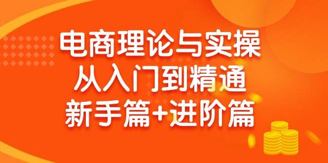 电商理论与实操从入门到精通 新手篇+进阶篇网创库-网创项目资源站-副业项目-创业项目-搞钱项目网创库