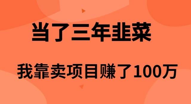 当了3年韭菜,我靠卖项目赚了100万网创库-网创项目资源站-副业项目-创业项目-搞钱项目网创库