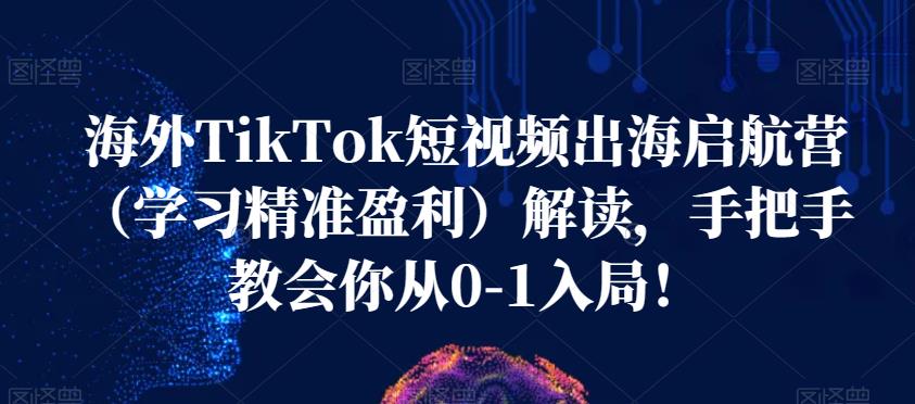 海外TikTok短视频出海启航营（学习精准盈利）解读，手把手教会你从0-1入局！网创库-网创项目资源站-副业项目-创业项目-搞钱项目网创库