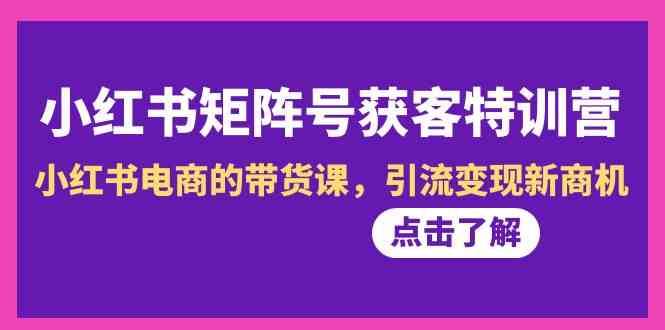 小红书矩阵号获客特训营-第10期，小红书电商的带货课，引流变现新商机网创库-网创项目资源站-副业项目-创业项目-搞钱项目网创库