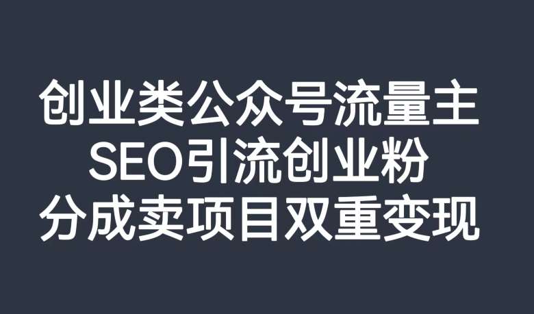 创业类公众号流量主，SEO引流创业粉，分成卖项目双重变现【揭秘】网创库-网创项目资源站-副业项目-创业项目-搞钱项目网创库