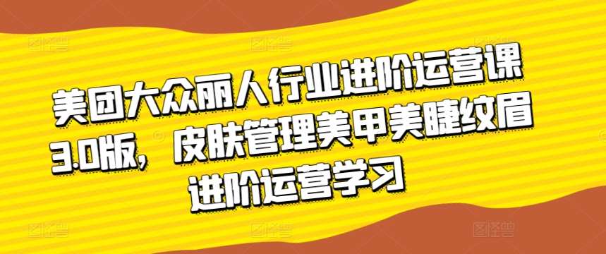 美团大众丽人行业进阶运营课3.0版，皮肤管理美甲美睫纹眉进阶运营学习网创库-网创项目资源站-副业项目-创业项目-搞钱项目网创库