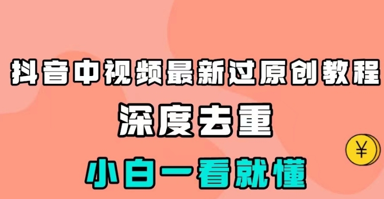 抖音中视频最新过原创教程，深度去重，小白一看就懂【揭秘】网创库-网创项目资源站-副业项目-创业项目-搞钱项目网创库