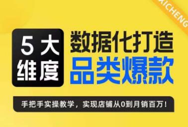 5大维度，数据化打造电商品类爆款特训营，一套高效运营爆款方法论网创库-网创项目资源站-副业项目-创业项目-搞钱项目网创库