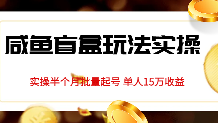 独家首发咸鱼盲盒玩法实操，半个月批量起号单人15万收益揭秘网创库-网创项目资源站-副业项目-创业项目-搞钱项目网创库