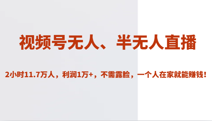 视频号无人、半无人直播2小时11.7万人，利润1万+，不需露脸，一个人在家就能赚钱！网创库-网创项目资源站-副业项目-创业项目-搞钱项目网创库