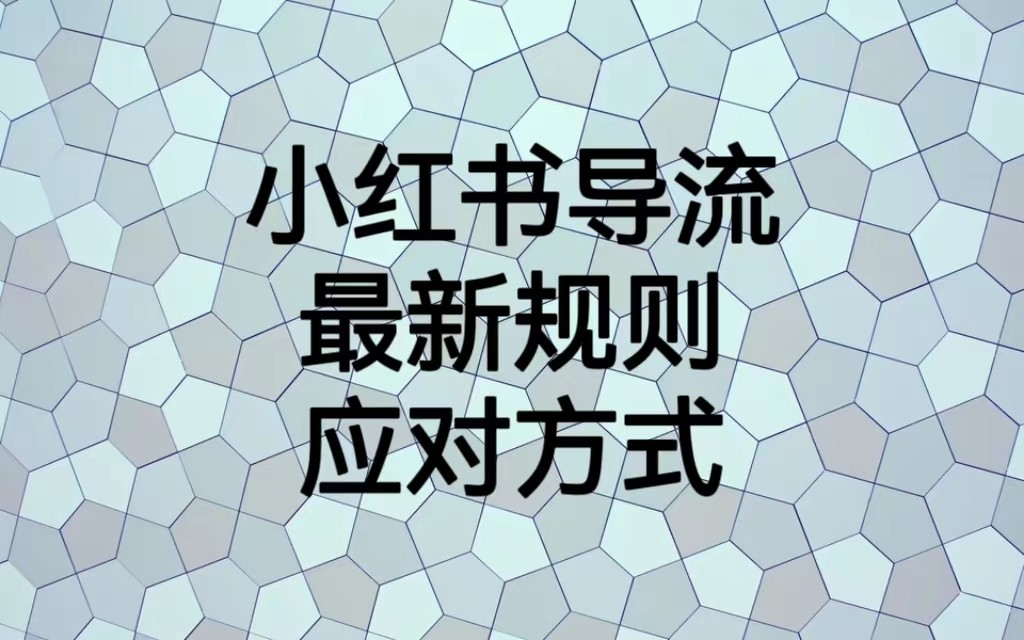小红书导流最新规则应对方式，新规以后目前还可用的引流方式解读网创库-网创项目资源站-副业项目-创业项目-搞钱项目网创库
