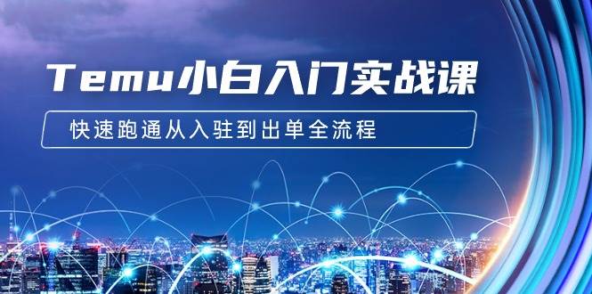 （9295期）Temu小白入门实战课：跨境拼多多电商培训 快速跑通从入驻到出单全流程-12节网创库-网创项目资源站-副业项目-创业项目-搞钱项目网创库