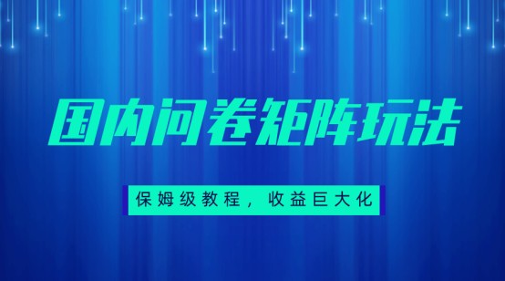 保姆级教程，国内问卷矩阵玩法，轻松赚收益网创库-网创项目资源站-副业项目-创业项目-搞钱项目网创库