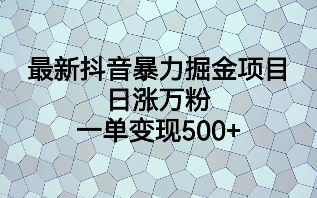 最新抖音暴力掘金项目，日涨万粉，一单变现500+网创库-网创项目资源站-副业项目-创业项目-搞钱项目网创库