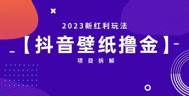 抖音壁纸小程序创作者撸金项目，2023新红利玩法【项目拆解】网创库-网创项目资源站-副业项目-创业项目-搞钱项目网创库