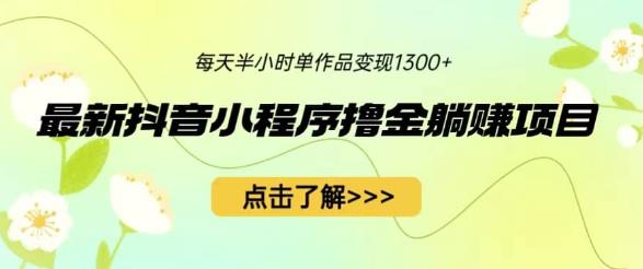 最新抖音小程序撸金躺赚项目，一部手机每天半小时，单个作品变现1300+【揭秘】网创库-网创项目资源站-副业项目-创业项目-搞钱项目网创库