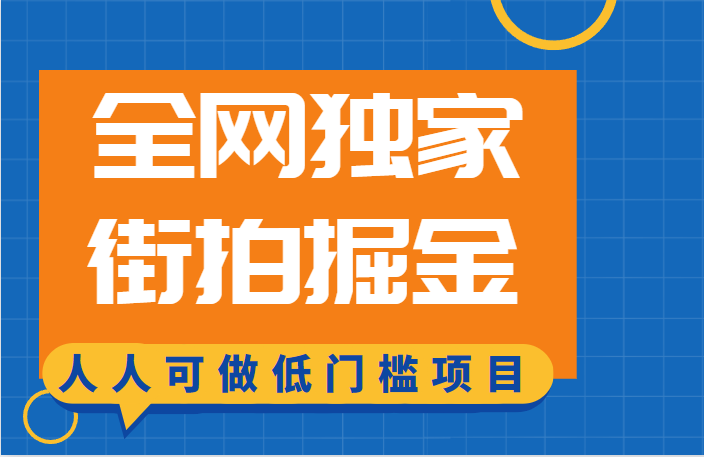 全网独家一街拍掘金，低门槛人人可做的赚钱项目网创库-网创项目资源站-副业项目-创业项目-搞钱项目网创库