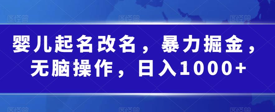 婴儿起名改名,暴力掘金,无脑操作,日入1000+【揭秘】网创库-网创项目资源站-副业项目-创业项目-搞钱项目网创库