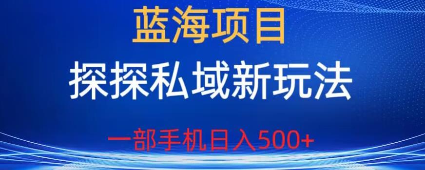 蓝海项目，探探私域新玩法，一部手机日入500+很轻松【揭秘】网创库-网创项目资源站-副业项目-创业项目-搞钱项目网创库