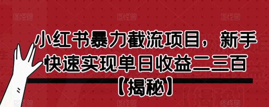 小红书暴力截流项目，新手快速实现单日收益二三百【仅揭秘】网创库-网创项目资源站-副业项目-创业项目-搞钱项目网创库