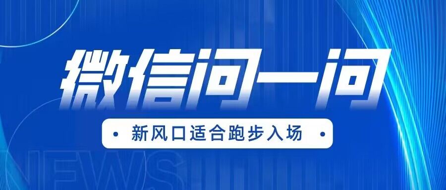全网首发微信问一问新风口变现项目（价值1999元）网创库-网创项目资源站-副业项目-创业项目-搞钱项目网创库