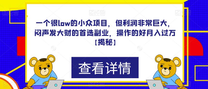 一个很low的小众项目，但利润非常巨大，闷声发大财的首选副业，操作的好月入过万【揭秘】网创库-网创项目资源站-副业项目-创业项目-搞钱项目网创库