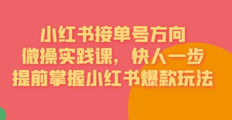 接单号方向·小红书微操实践课，快人一步，提前掌握小红书爆款玩法网创库-网创项目资源站-副业项目-创业项目-搞钱项目网创库