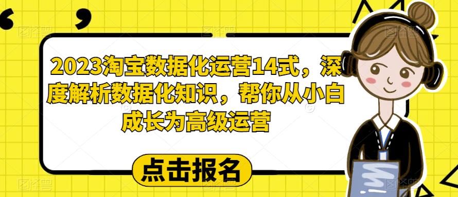 2023淘宝数据化运营14式，深度解析数据化知识，帮你从小白成长为高级运营网创库-网创项目资源站-副业项目-创业项目-搞钱项目网创库