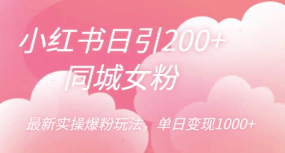小红书日引200+同城女粉,最新实操爆粉玩法,单日变现1000+【揭秘】网创库-网创项目资源站-副业项目-创业项目-搞钱项目网创库