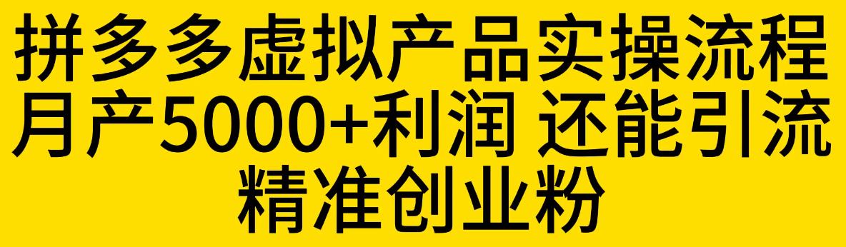 拼多多虚拟产品实操流程，月产5000+利润，还能引流精准创业粉【揭秘】网创库-网创项目资源站-副业项目-创业项目-搞钱项目网创库