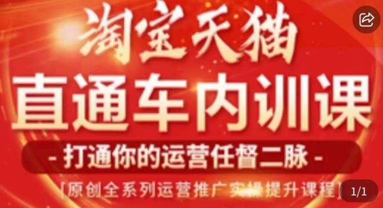 天问电商·2023淘宝天猫直通车内训课，零基础学起直通车运营实操课程网创库-网创项目资源站-副业项目-创业项目-搞钱项目网创库
