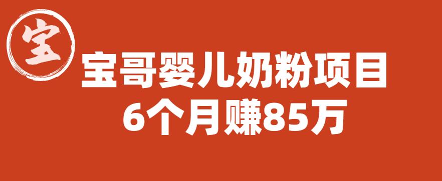 宝哥婴儿奶粉项目，6个月赚85w【图文非视频】【揭秘】网创库-网创项目资源站-副业项目-创业项目-搞钱项目网创库