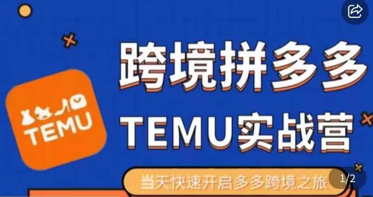 大鹏出海·拼多多跨境temu运营指导，开店注册+选品+核价上架，日出千单实战课网创库-网创项目资源站-副业项目-创业项目-搞钱项目网创库