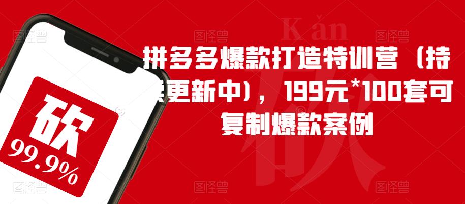 拼多多爆款打造特训营（持续更新中)，199元*100套可复制爆款案例网创库-网创项目资源站-副业项目-创业项目-搞钱项目网创库