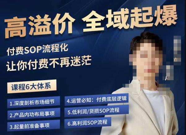 逸风-拼多多高溢价全域起爆，6大课程体系，付费玩法全套实操网创库-网创项目资源站-副业项目-创业项目-搞钱项目网创库