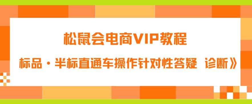 松鼠会电商VIP教程：松鼠《付费推广标品·半标直通车操作针对性答疑&诊断》网创库-网创项目资源站-副业项目-创业项目-搞钱项目网创库
