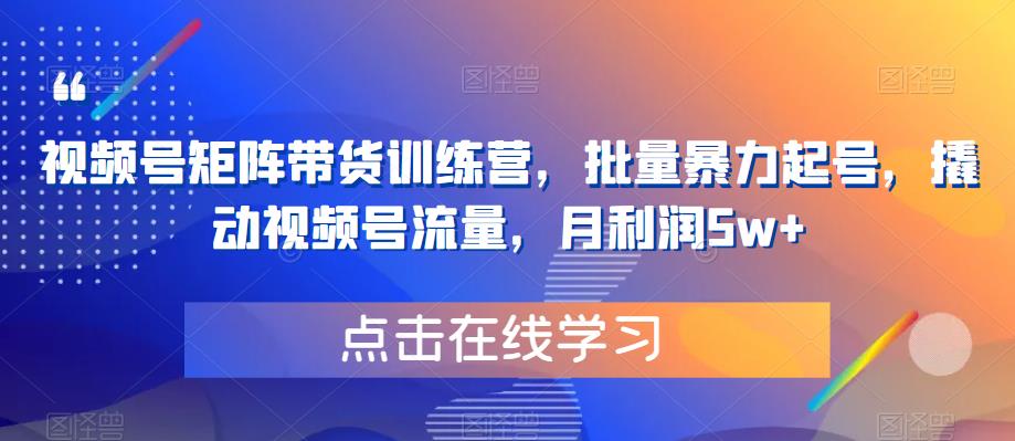 视频号矩阵带货训练营，批量暴力起号，撬动视频号流量，月利润5w+网创库-网创项目资源站-副业项目-创业项目-搞钱项目网创库
