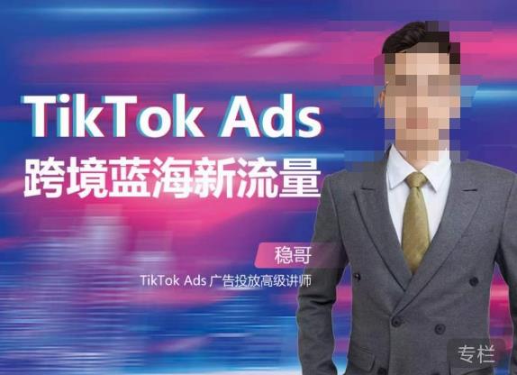 稳哥·如何投出高ROI的TikTok广告，开拓独立站卖家流量新蓝海网创库-网创项目资源站-副业项目-创业项目-搞钱项目网创库