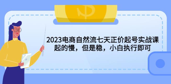 2023电商自然流七天正价起号实战课：起的慢，但是稳，小白执行即可！网创库-网创项目资源站-副业项目-创业项目-搞钱项目网创库