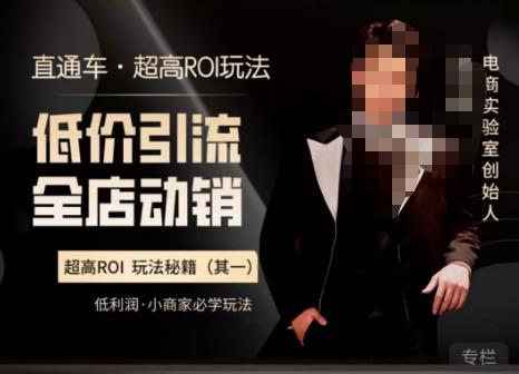 电商冰可乐·直通车·《低价引流·全店动销》，直通车·超高ROI玩法（其一）全店动销必学玩法网创库-网创项目资源站-副业项目-创业项目-搞钱项目网创库