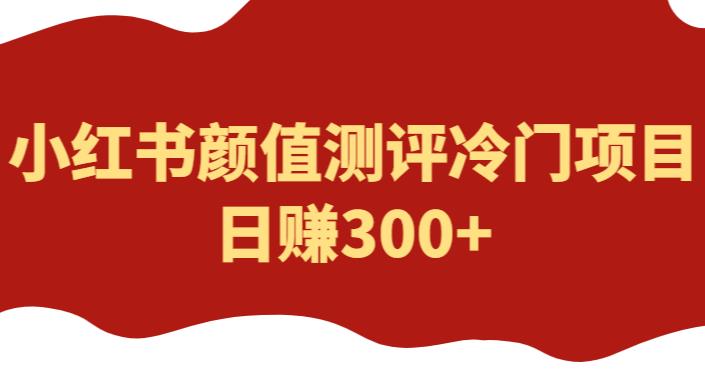 外面1980的项目,小红书颜值测评冷门项目,日赚300+【揭秘】网创库-网创项目资源站-副业项目-创业项目-搞钱项目网创库