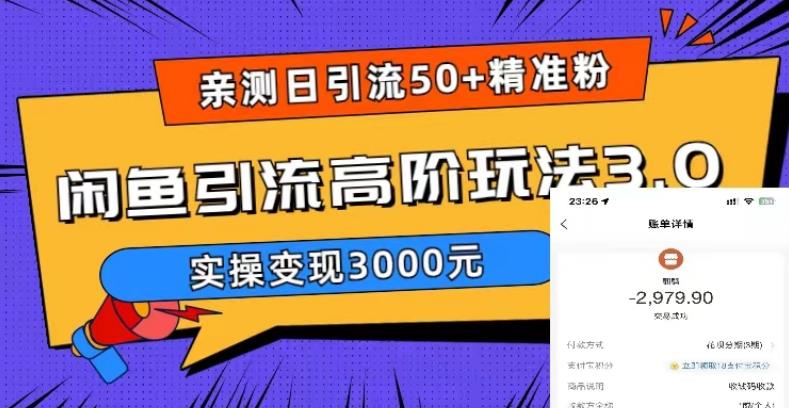 亲测日引50+精准粉，闲鱼引流高阶玩法3.0，实操变现3000元【揭秘】网创库-网创项目资源站-副业项目-创业项目-搞钱项目网创库