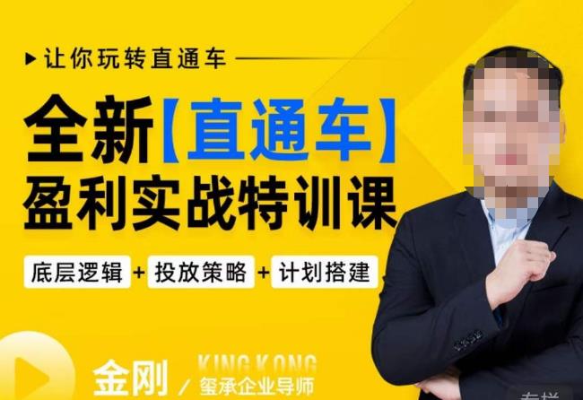 玺承·全新直通车盈利实战特训课，从​底层逻辑详细拆解，从底层，策略到搭建，让你玩转直通车网创库-网创项目资源站-副业项目-创业项目-搞钱项目网创库