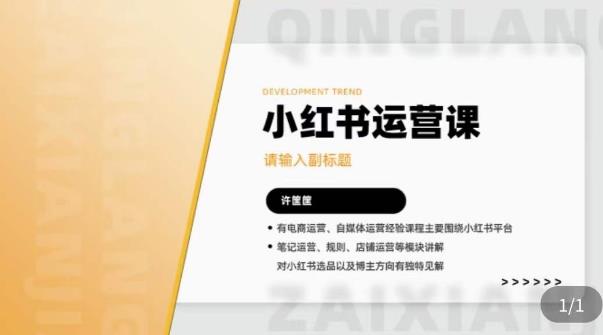 许筐筺·小红书运营课，​笔记运营、规则、店铺运营等模块讲解，学会自己独立运营小红书账号网创库-网创项目资源站-副业项目-创业项目-搞钱项目网创库