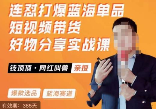 网红叫兽·连怼打爆蓝海单品，短视频带货好物分享实战课网创库-网创项目资源站-副业项目-创业项目-搞钱项目网创库