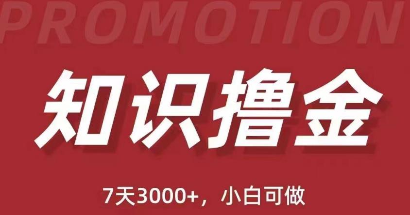 抖音知识撸金项目：简单粗暴日入1000+执行力强当天见收益(教程+资料)网创库-网创项目资源站-副业项目-创业项目-搞钱项目网创库
