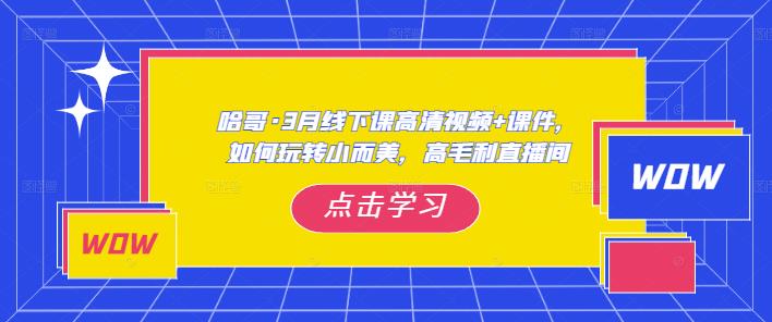 哈哥·3月线下实操课高清视频+课件,如何玩转小而美,高毛利直播间网创库-网创项目资源站-副业项目-创业项目-搞钱项目网创库